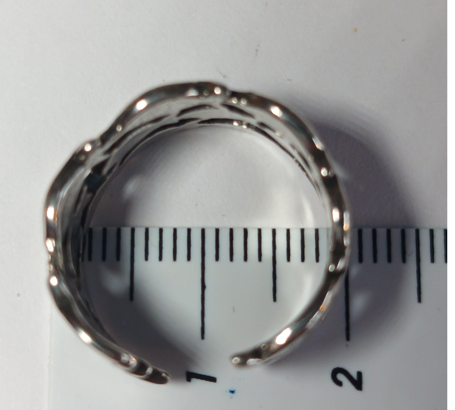 Ring Fischschwarm